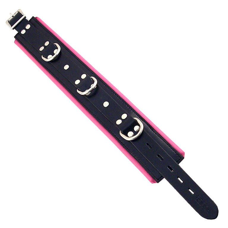 > Bondage Gear > Collars Rouge Garments Black And Pink Padded Collar   