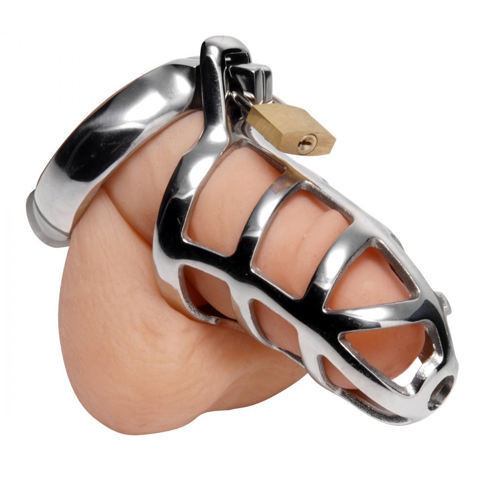 > Bondage Gear > Male Chastity Master Series Chastity Cock Cage   