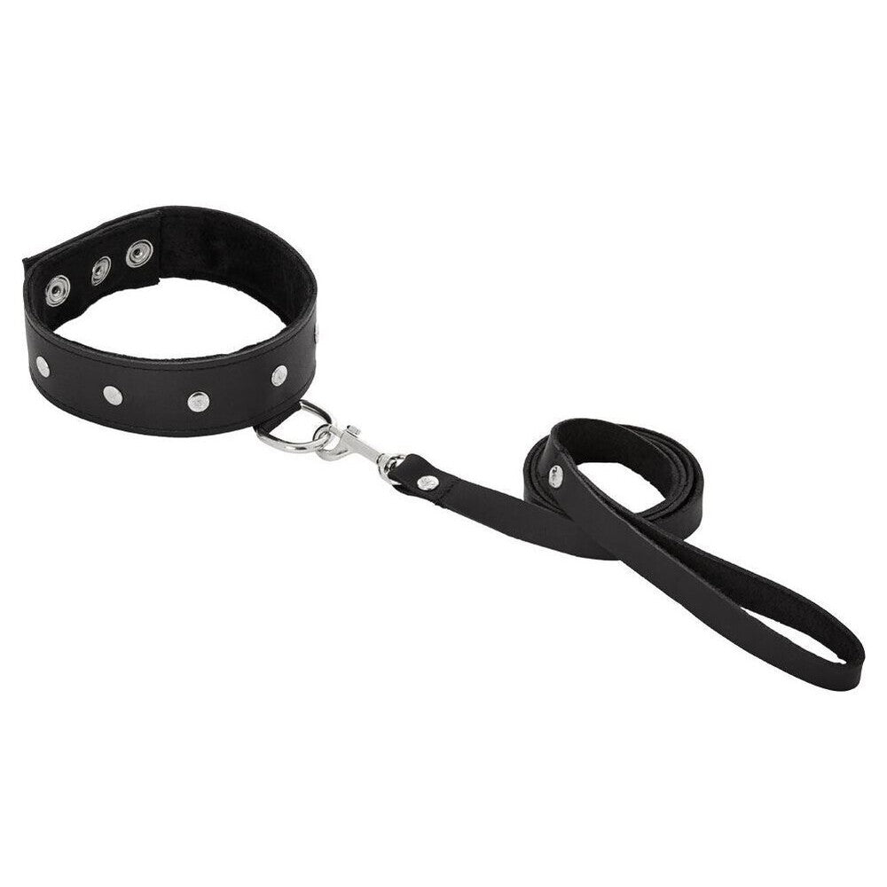 > Bondage Gear > Collars SportSheets Leather Leash And Collar   