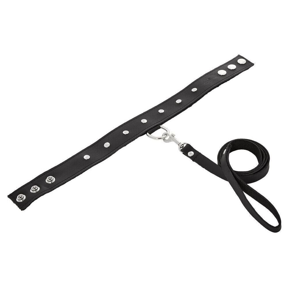 > Bondage Gear > Collars SportSheets Leather Leash And Collar   